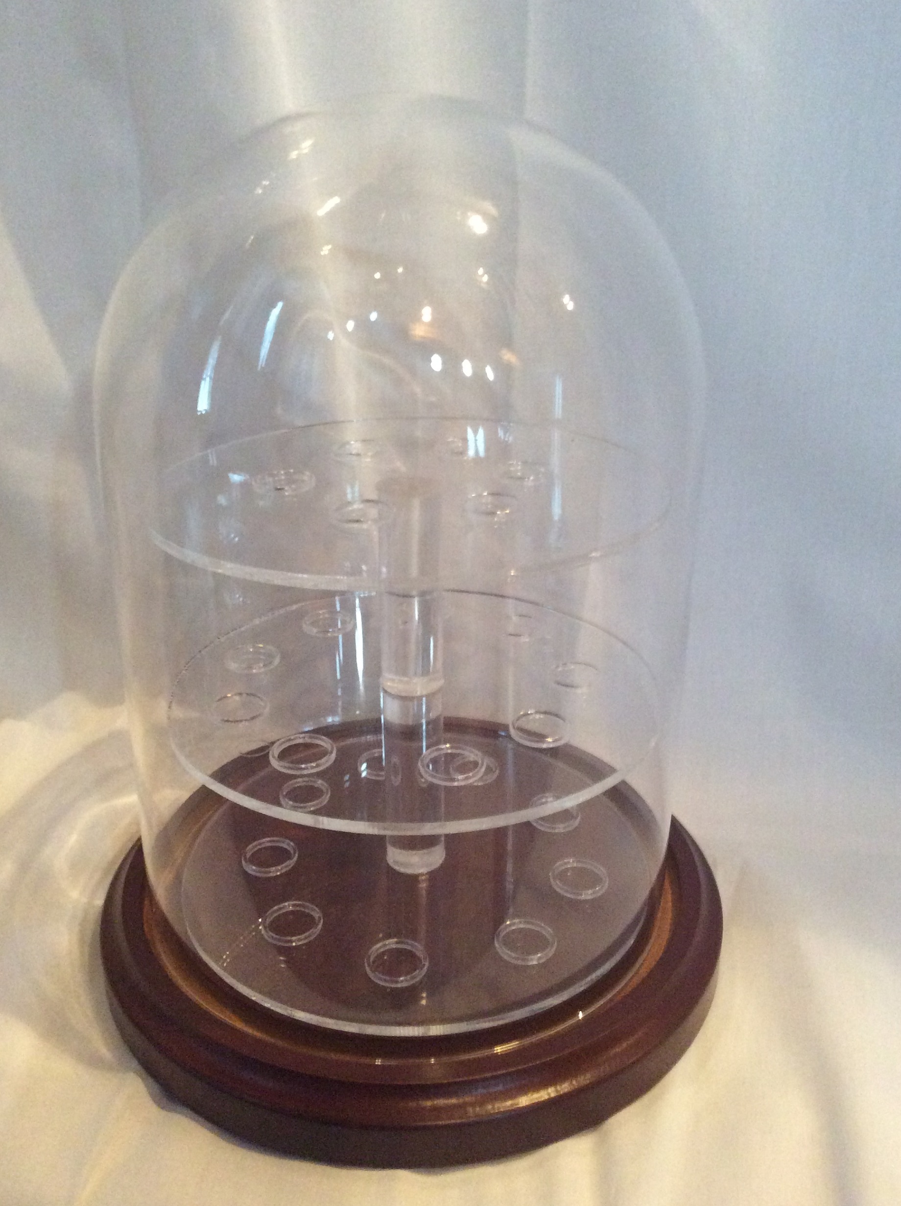 5.5"x8" Glass dome with 3 shelf acrylic insert w/ walnut base