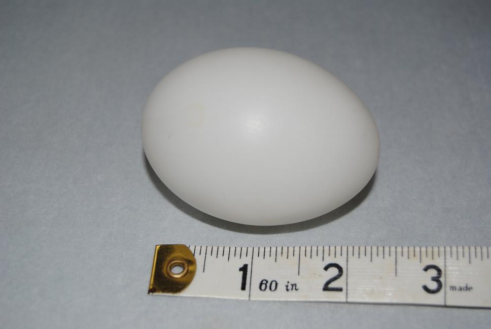 (image for) Egg Shells for Crafts